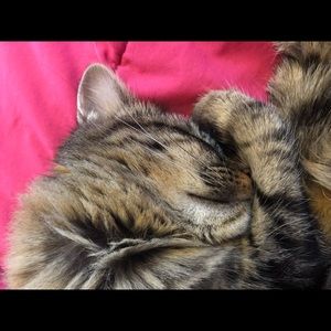 Meet your Posher, Kelly